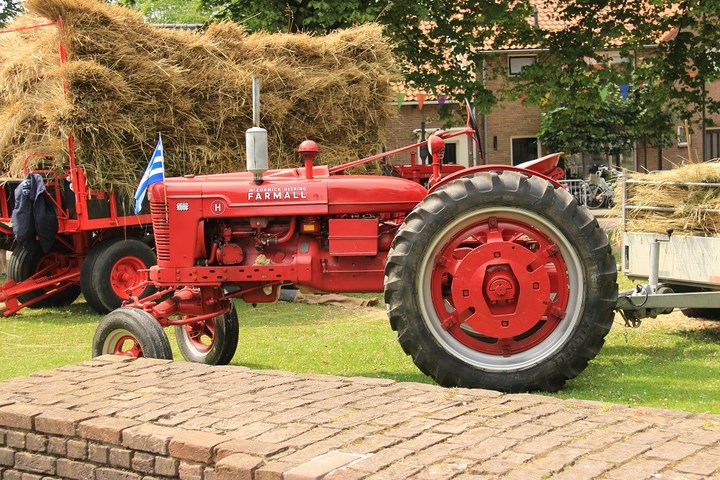 foto